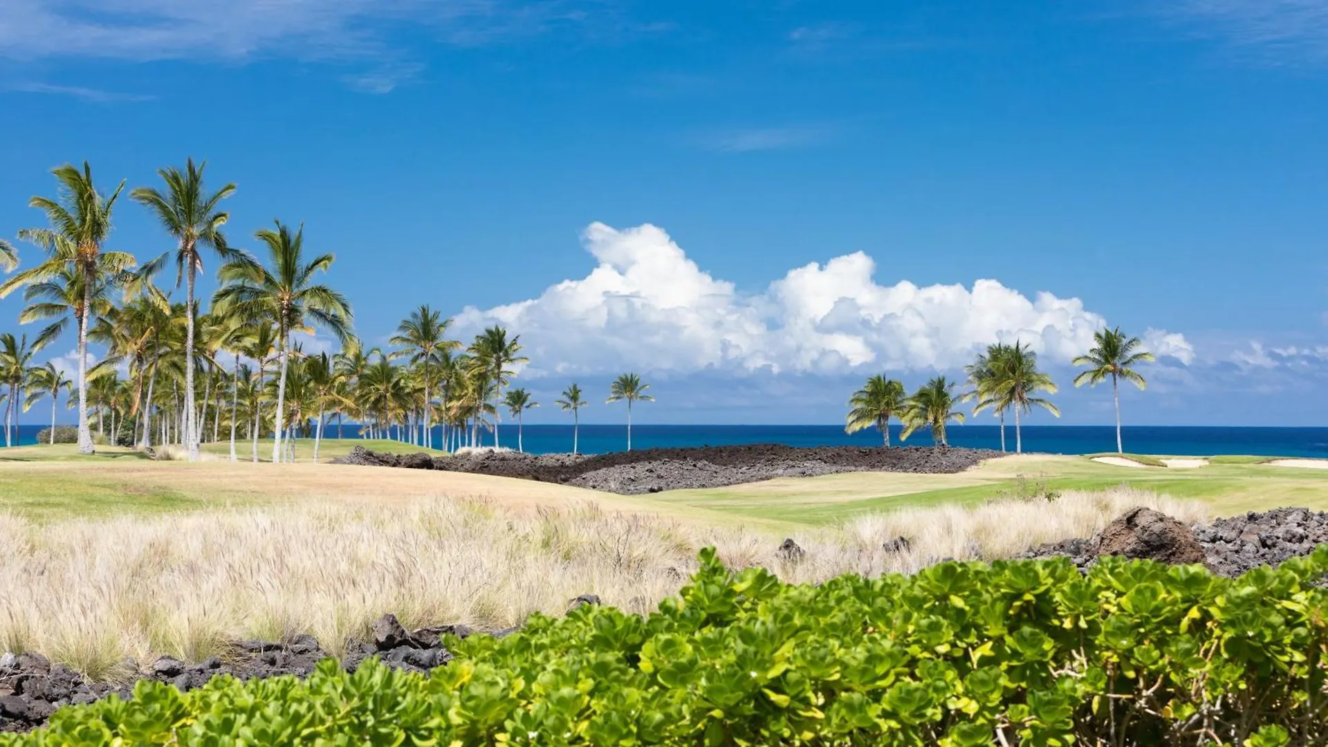 By The Sea Villa Cheerful 3Br Halii Kai Home With Golf And Ocean Views Waikoloa